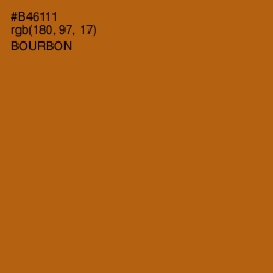 #B46111 - Bourbon Color Image