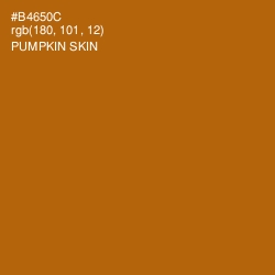 #B4650C - Pumpkin Skin Color Image