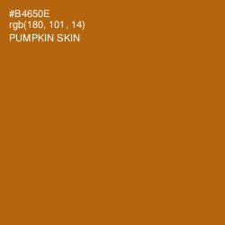 #B4650E - Pumpkin Skin Color Image