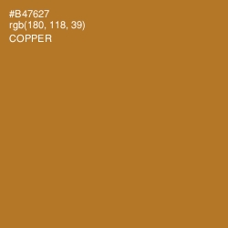 #B47627 - Copper Color Image