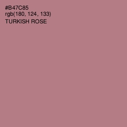 #B47C85 - Turkish Rose Color Image