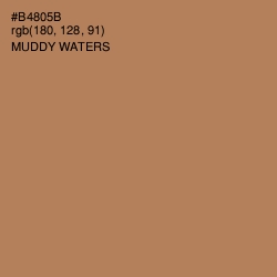 #B4805B - Muddy Waters Color Image