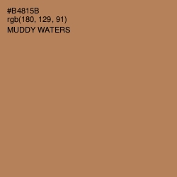 #B4815B - Muddy Waters Color Image