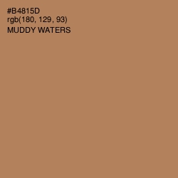 #B4815D - Muddy Waters Color Image
