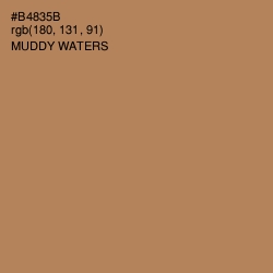 #B4835B - Muddy Waters Color Image