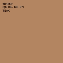 #B48561 - Teak Color Image