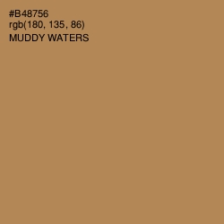 #B48756 - Muddy Waters Color Image