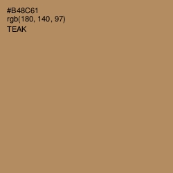 #B48C61 - Teak Color Image