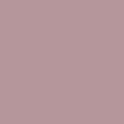 #B4969B - Thatch Color Image