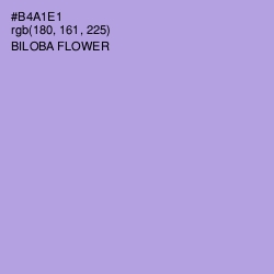 #B4A1E1 - Biloba Flower Color Image