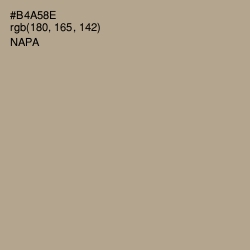 #B4A58E - Napa Color Image
