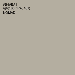 #B4AEA1 - Nomad Color Image