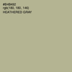 #B4B492 - Heathered Gray Color Image