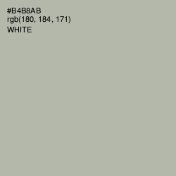 #B4B8AB - Eagle Color Image
