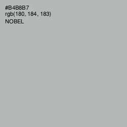 #B4B8B7 - Nobel Color Image