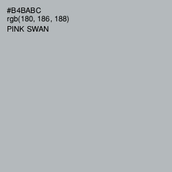 #B4BABC - Pink Swan Color Image