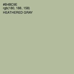 #B4BC9E - Heathered Gray Color Image