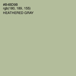 #B4BD9B - Heathered Gray Color Image