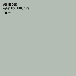 #B4BDB3 - Tide Color Image