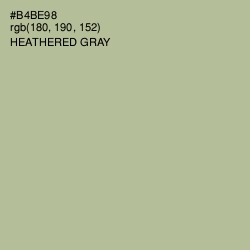 #B4BE98 - Heathered Gray Color Image