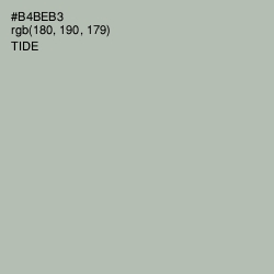 #B4BEB3 - Tide Color Image