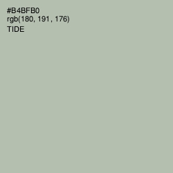 #B4BFB0 - Tide Color Image