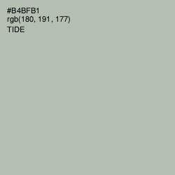 #B4BFB1 - Tide Color Image