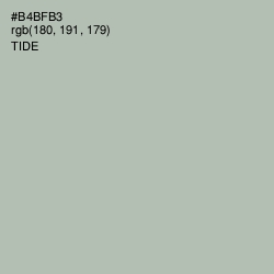 #B4BFB3 - Tide Color Image