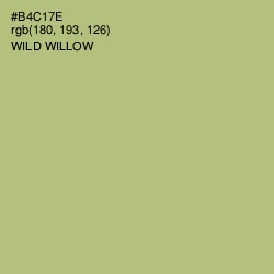 #B4C17E - Wild Willow Color Image