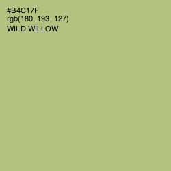 #B4C17F - Wild Willow Color Image