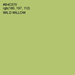 #B4C570 - Wild Willow Color Image