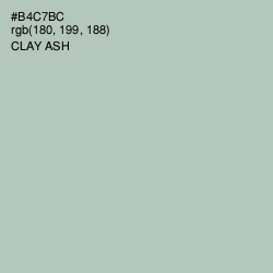#B4C7BC - Clay Ash Color Image