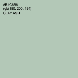 #B4C8B8 - Clay Ash Color Image