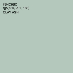 #B4C9BC - Clay Ash Color Image