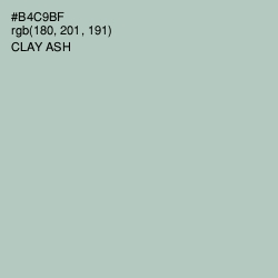 #B4C9BF - Clay Ash Color Image