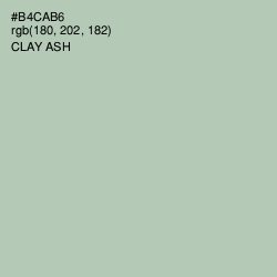 #B4CAB6 - Clay Ash Color Image