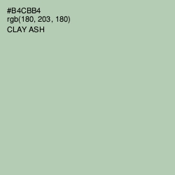 #B4CBB4 - Clay Ash Color Image