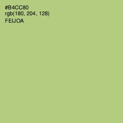 #B4CC80 - Feijoa Color Image