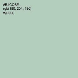 #B4CCBE - Clay Ash Color Image