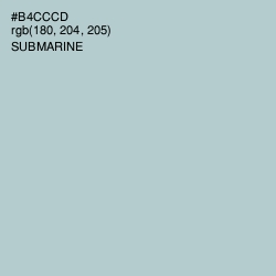 #B4CCCD - Submarine Color Image