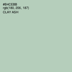 #B4CEBB - Clay Ash Color Image