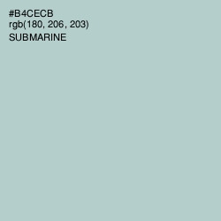 #B4CECB - Submarine Color Image