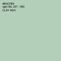 #B4CFB9 - Clay Ash Color Image