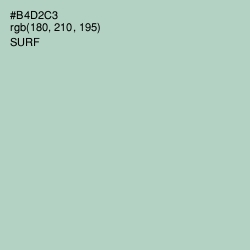 #B4D2C3 - Surf Color Image