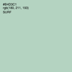 #B4D3C1 - Surf Color Image