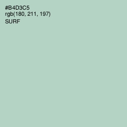 #B4D3C5 - Surf Color Image