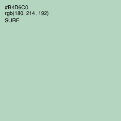 #B4D6C0 - Surf Color Image