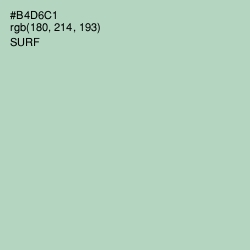 #B4D6C1 - Surf Color Image