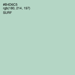 #B4D6C5 - Surf Color Image