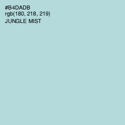 #B4DADB - Jungle Mist Color Image